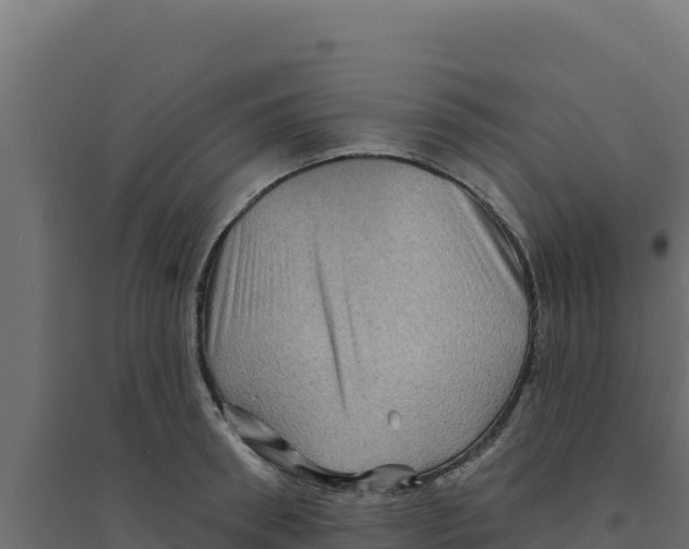 X0000094190898200711241612