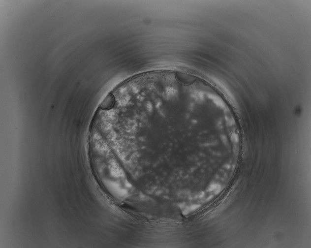 X0000094190899200711241612