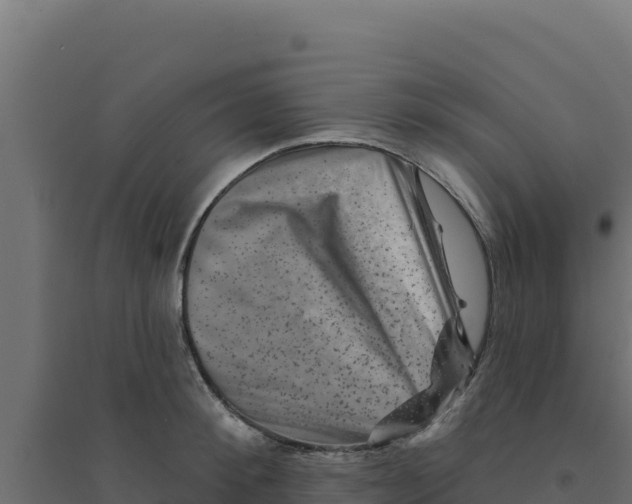 X0000094190900200711241612