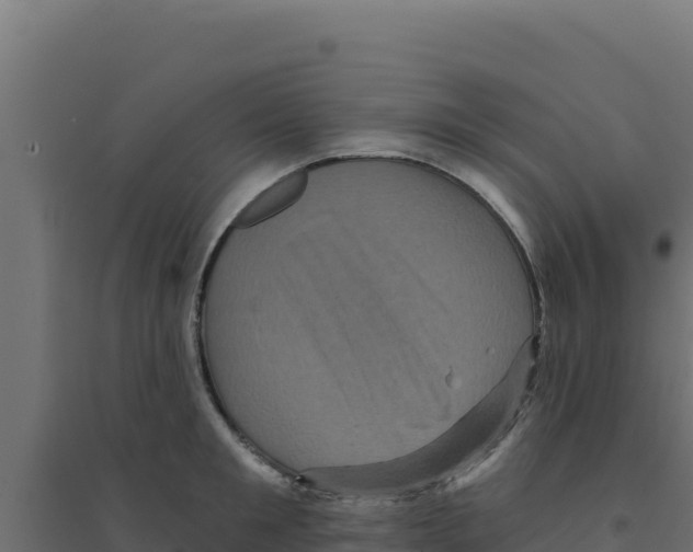 X0000094190901200711241612