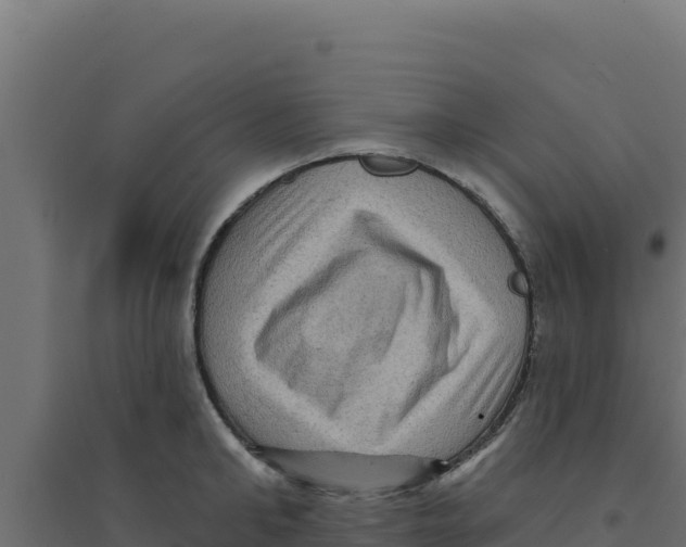 X0000094190902200711241612