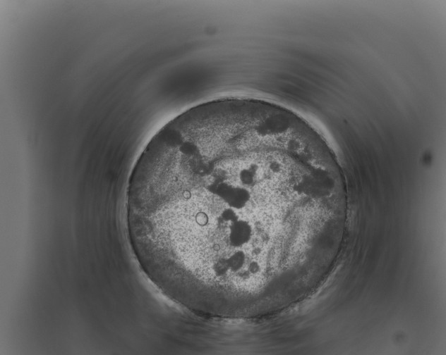 X0000094190903200711241612