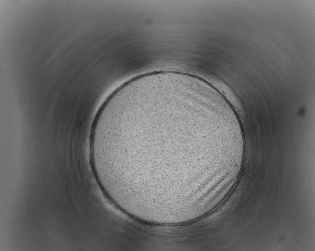 X0000094190904200711241612