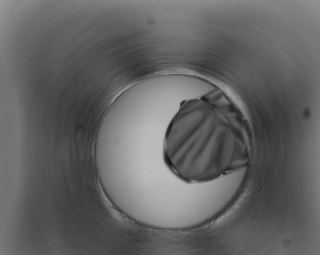 X0000094190905200711241612