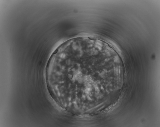 X0000094190907200711241612