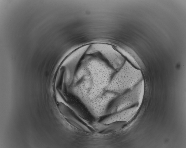 X0000094190908200711241612