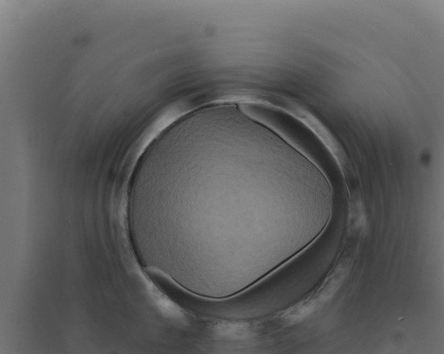 X0000094190909200711241612