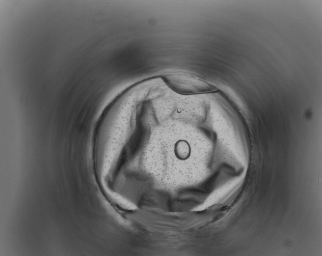 X0000094190910200711241612