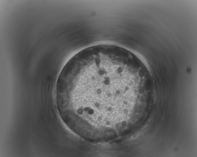 X0000094190911200711241612