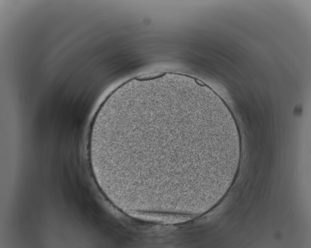 X0000094190912200711241612