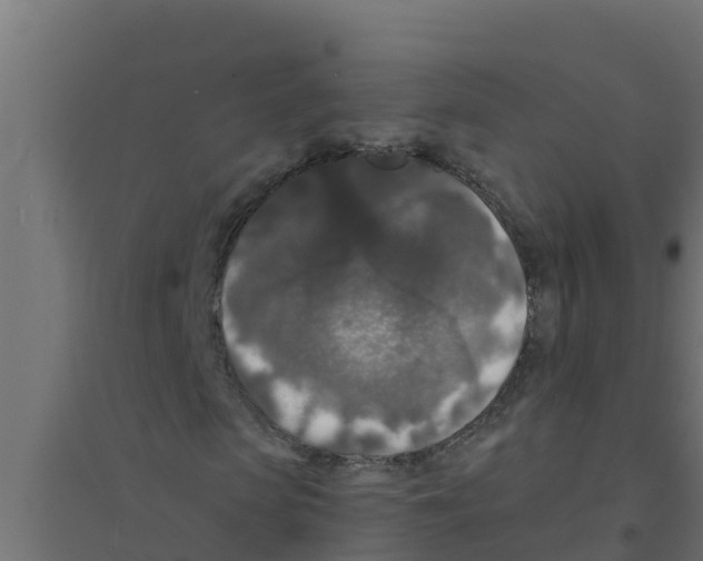 X0000094190913200711241612