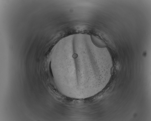 X0000094190914200711241612