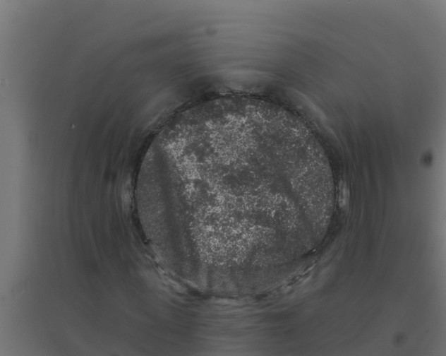 X0000094190915200711241612