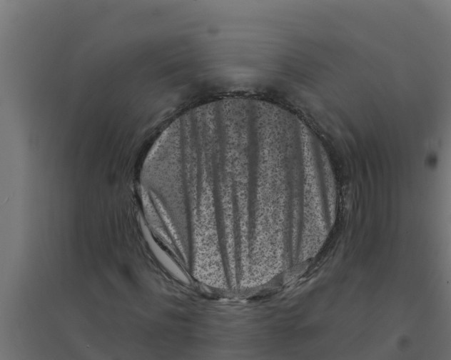 X0000094190916200711241612