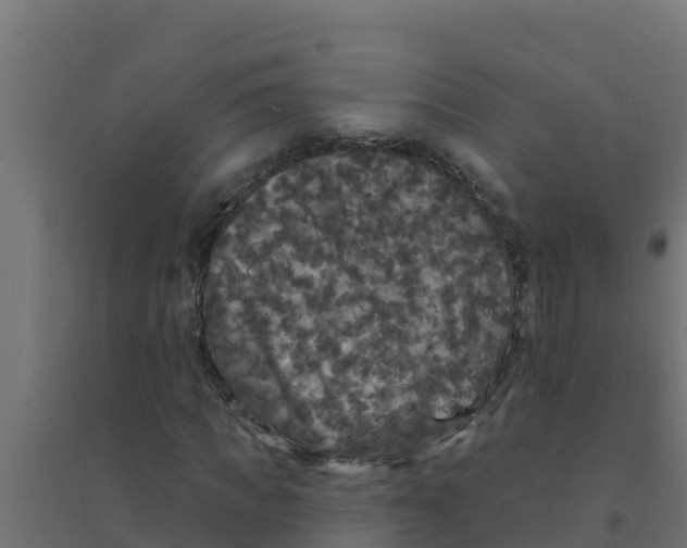 X0000094190917200711241612