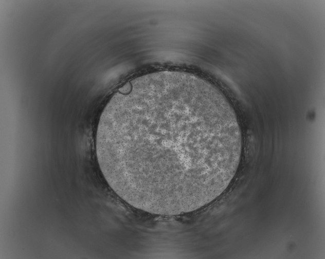 X0000094190918200711241612