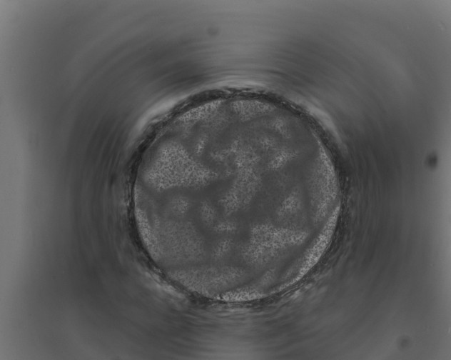 X0000094190920200711241612