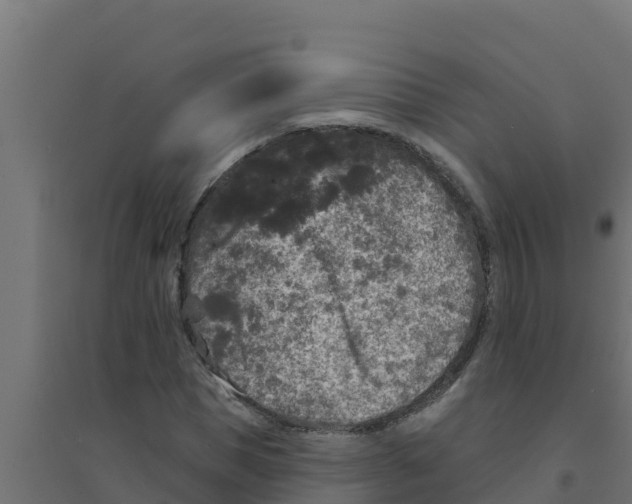 X0000094190921200711241612