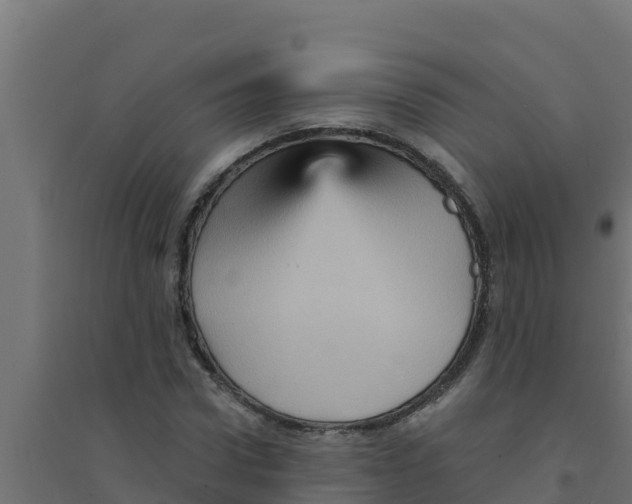 X0000094190922200711241612