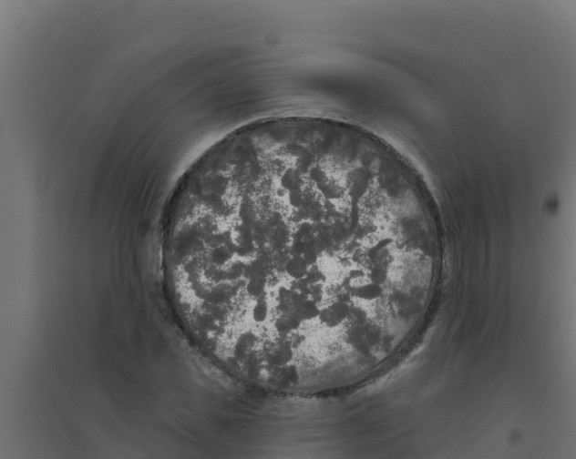 X0000094190925200711241612