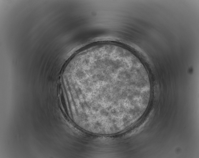 X0000094190929200711241612