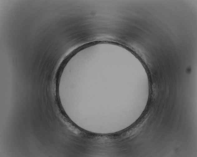 X0000094190931200711241612