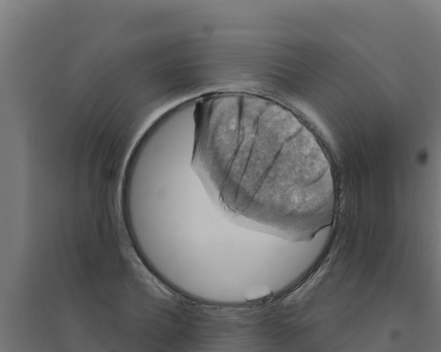 X0000094190932200711241612