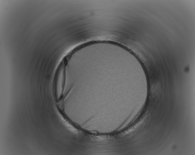 X0000094190934200711241612