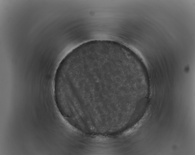 X0000094190935200711241612