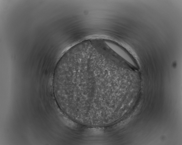 X0000094190937200711241612