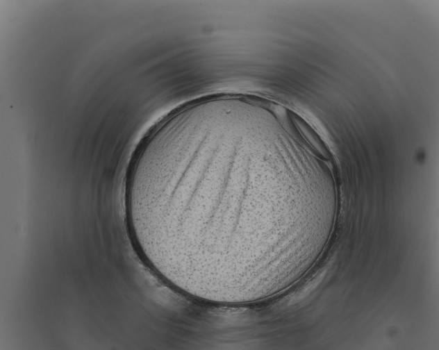 X0000094190939200711241612