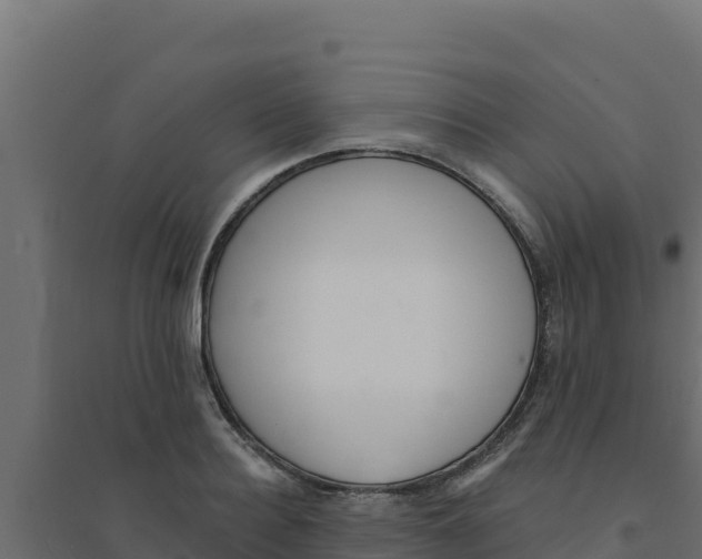 X0000094190940200711241612