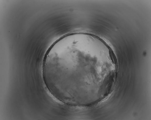 X0000094190941200711241612