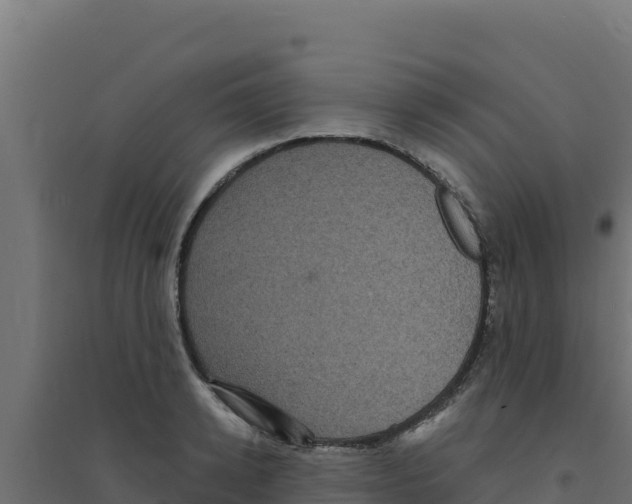 X0000094190942200711241612