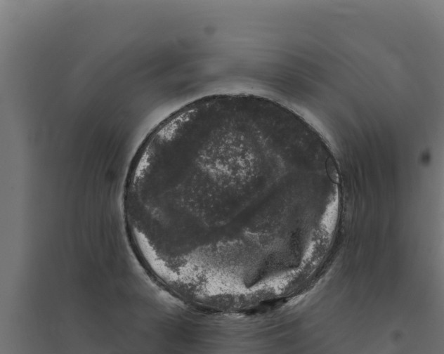 X0000094190943200711241612