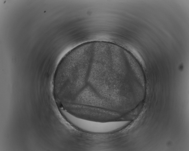 X0000094190944200711241612