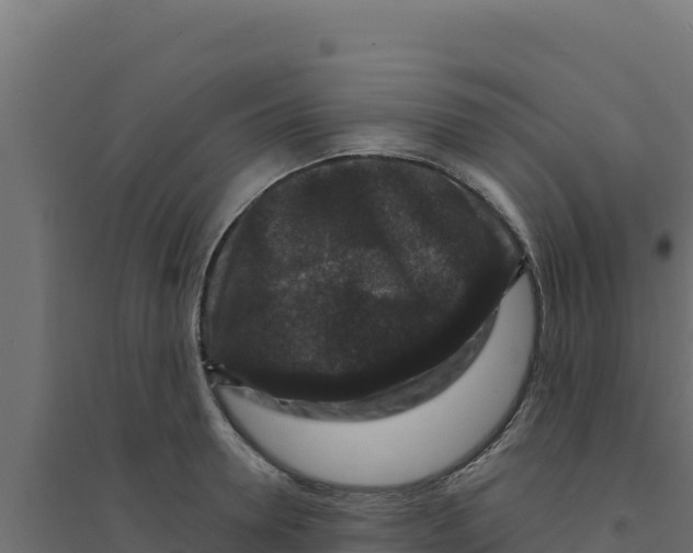 X0000094190946200711241612