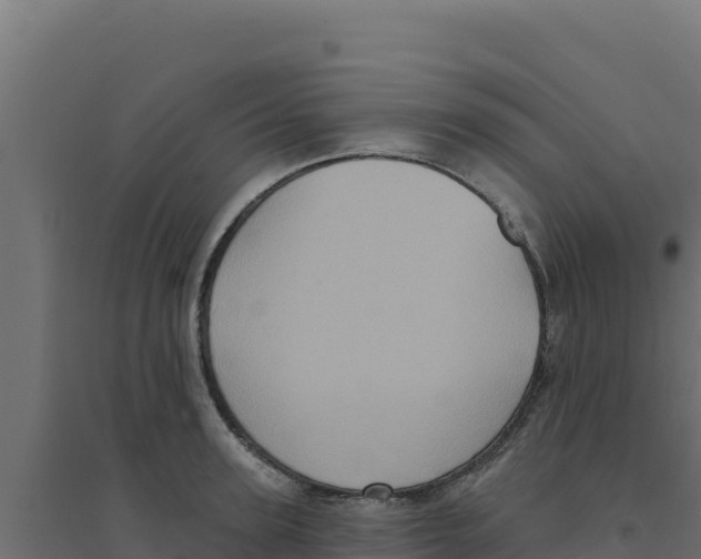 X0000094190947200711241612