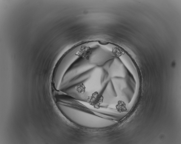 X0000094190949200711241612