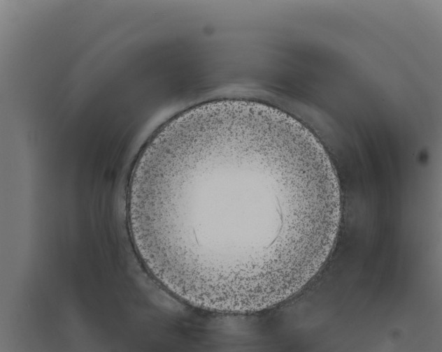 X0000094190950200711241612