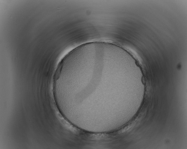 X0000094190952200711241612