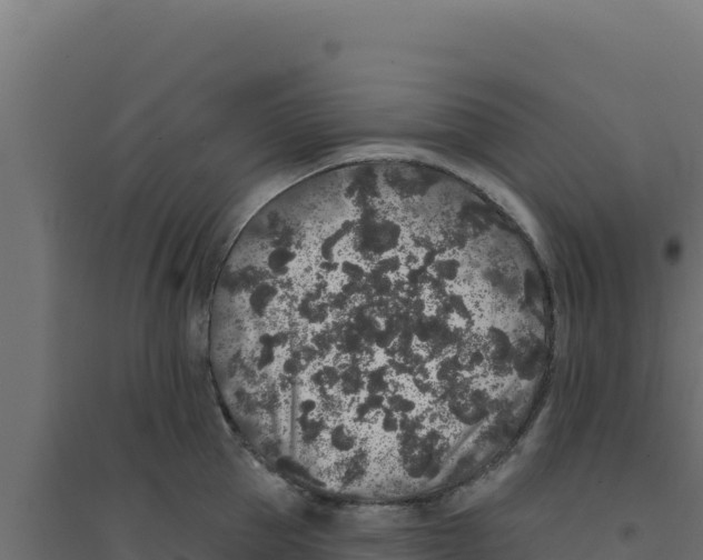 X0000094190953200711241612