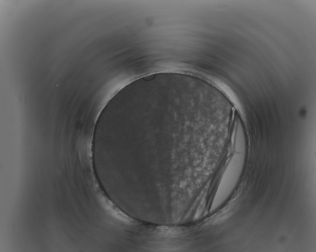 X0000094190954200711241612