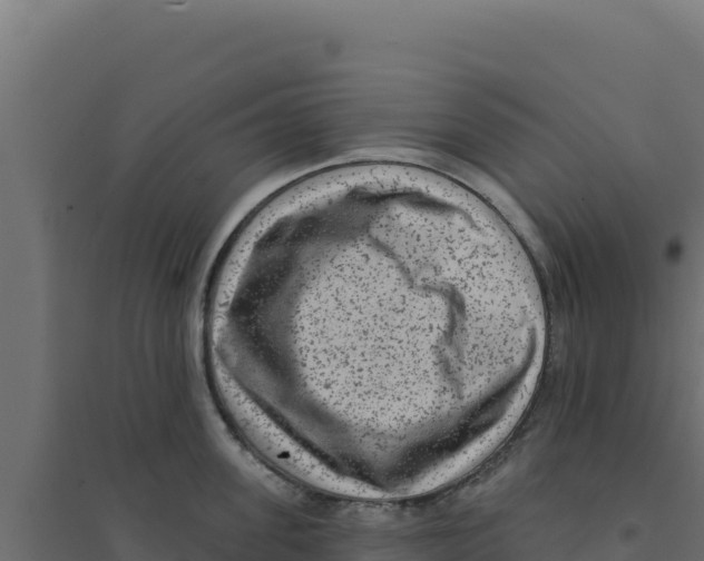 X0000094190955200711241612