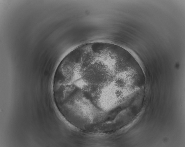 X0000094190957200711241612