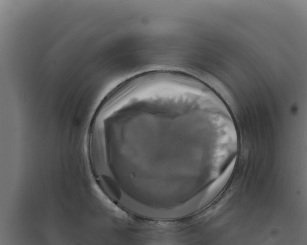 X0000094190958200711241612