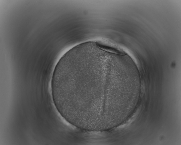 X0000094190959200711241612