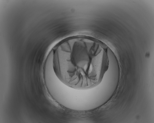 X0000094190960200711241612