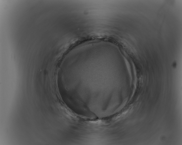 X0000094190961200711241612