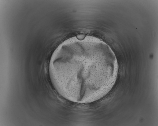 X0000094190962200711241612